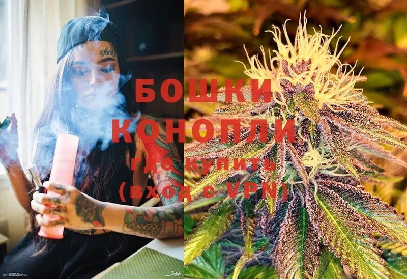 Бошки марихуана SATIVA & INDICA  кракен сайт  Ефремов 